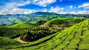 kerala-munnar