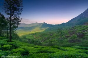 kerala-south-india