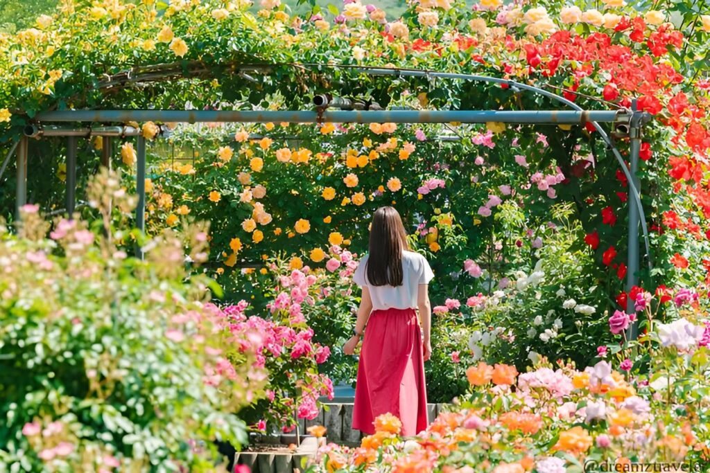 rose-garden-chandigarh