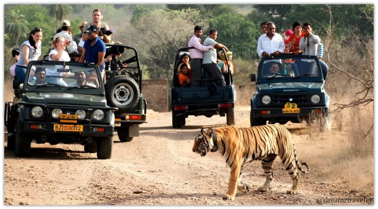 Sariska Tiger Reserve