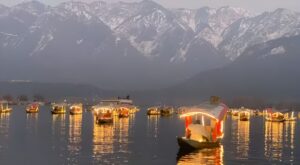 kashmir-dal-lake-shikaras