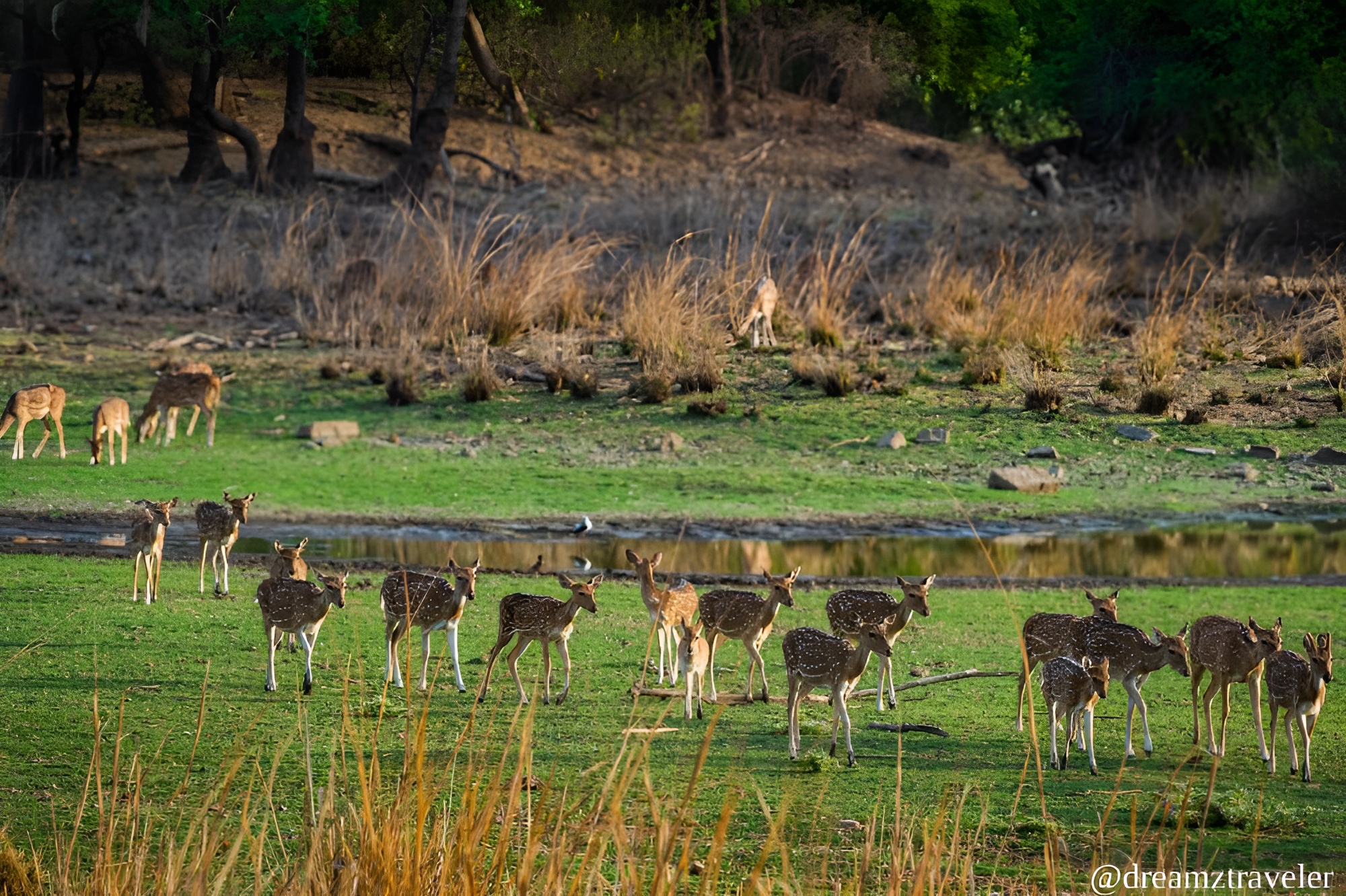 Kachida-Valley-ranthambore